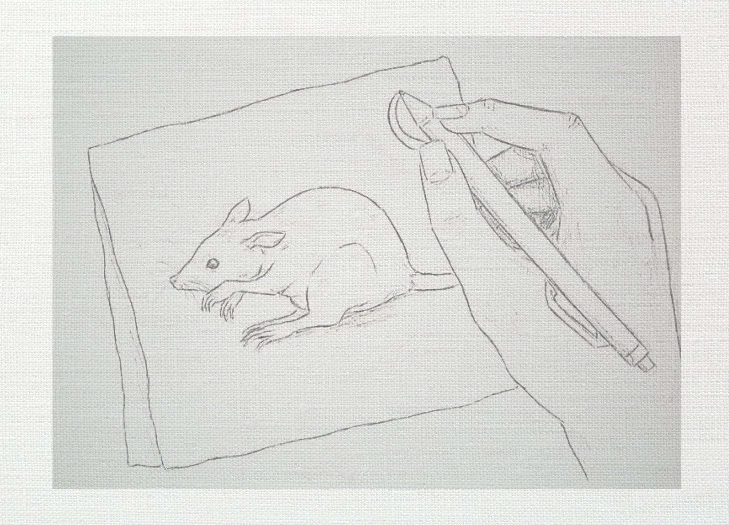 Pencil sketch of a hand sketching a rat on a napkin Pencil sketch of a hand sketching a rat on a napkin