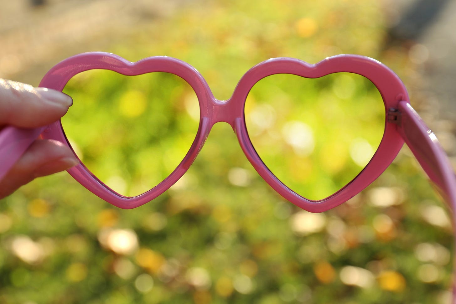 Looking through heart shaped glasses at nature