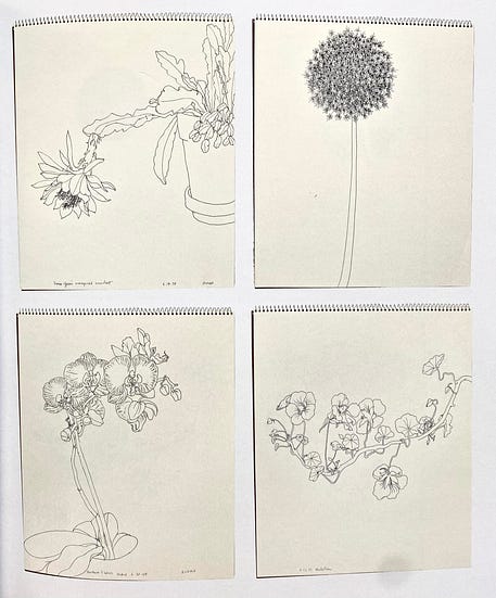 Ruth Asawa's drawings in her sketchbook