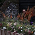 3. Plant Types 