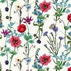 Our next drawing session: Summer Wildflowers