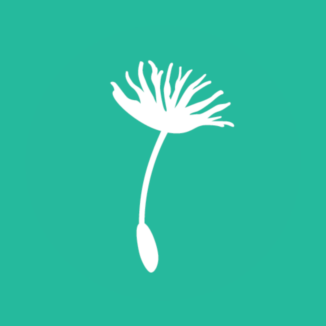 New Economy Coalition