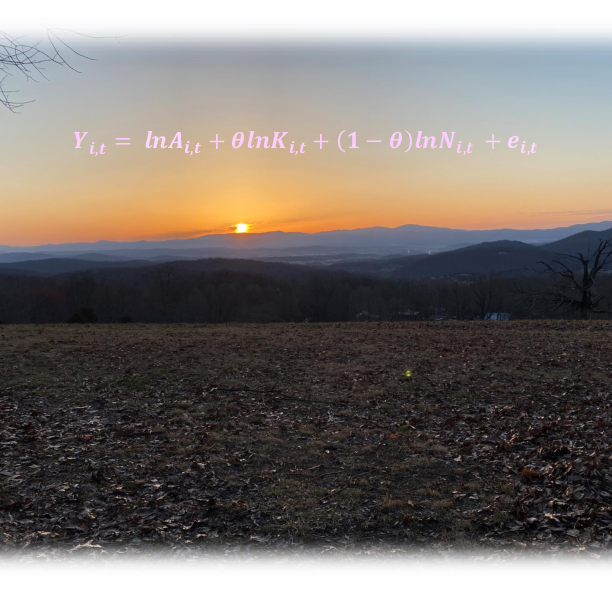 The Country Economist