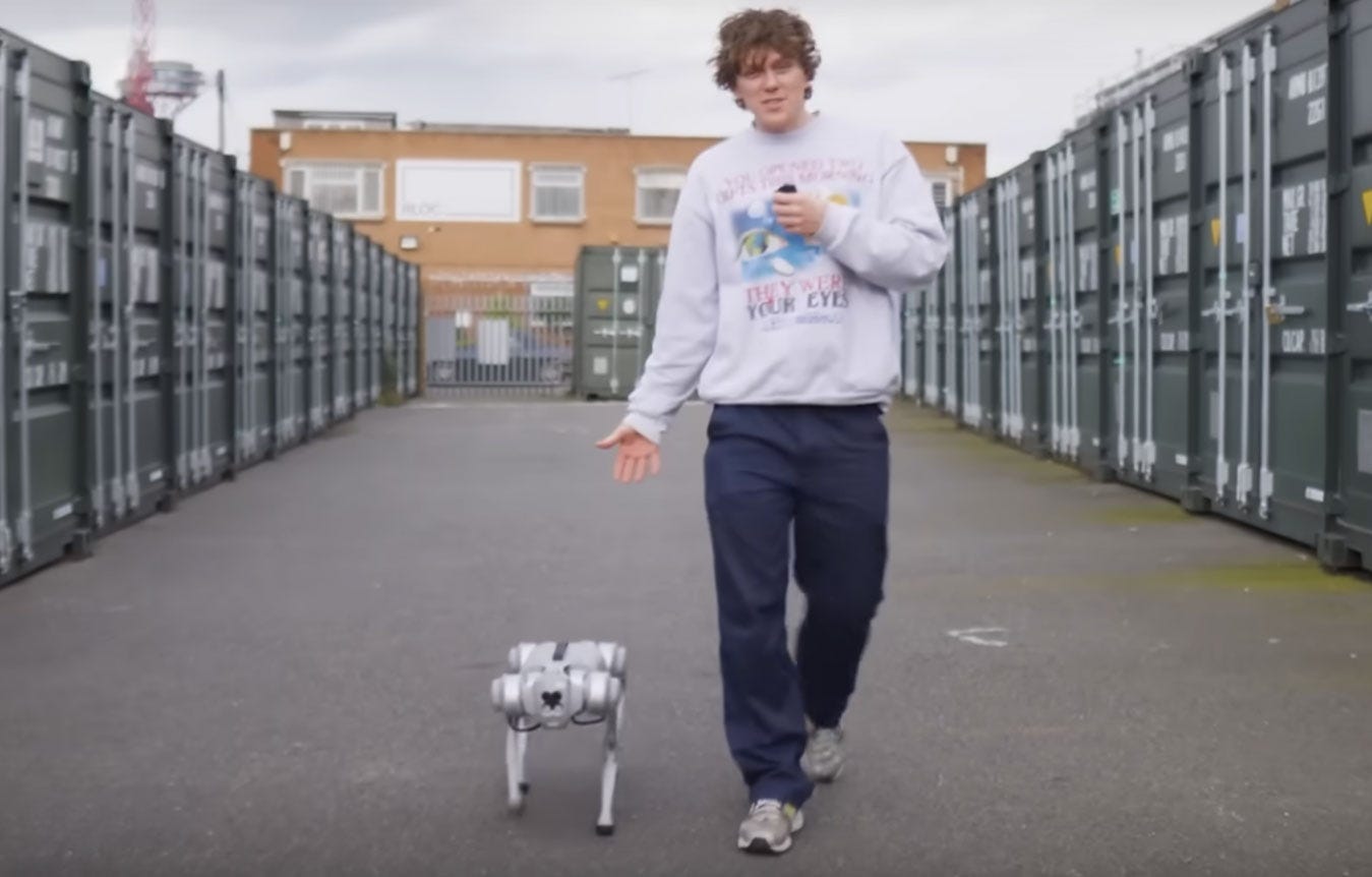 Robot dog entered in dog competition