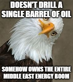 bald eagle tilt | DOESN'T DRILL A SINGLE BARREL OF OIL; SOMEHOW OWNS THE ENTIRE MIDDLE EAST ENERGY BOOM | image tagged in bald eagle tilt | made w/ Imgflip meme maker