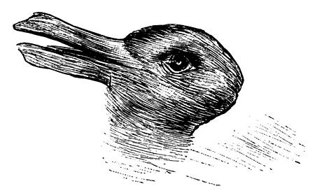 Animals could help reveal why humans fall for optical illusions | Laura and  Jennifer Kelley | Science | theguardian.com