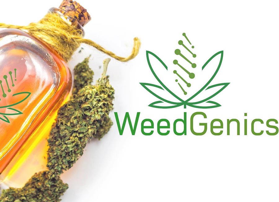 SEC shuts down WeedGenics cannabis Ponzi scheme