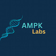 AMPK Labs's avatar