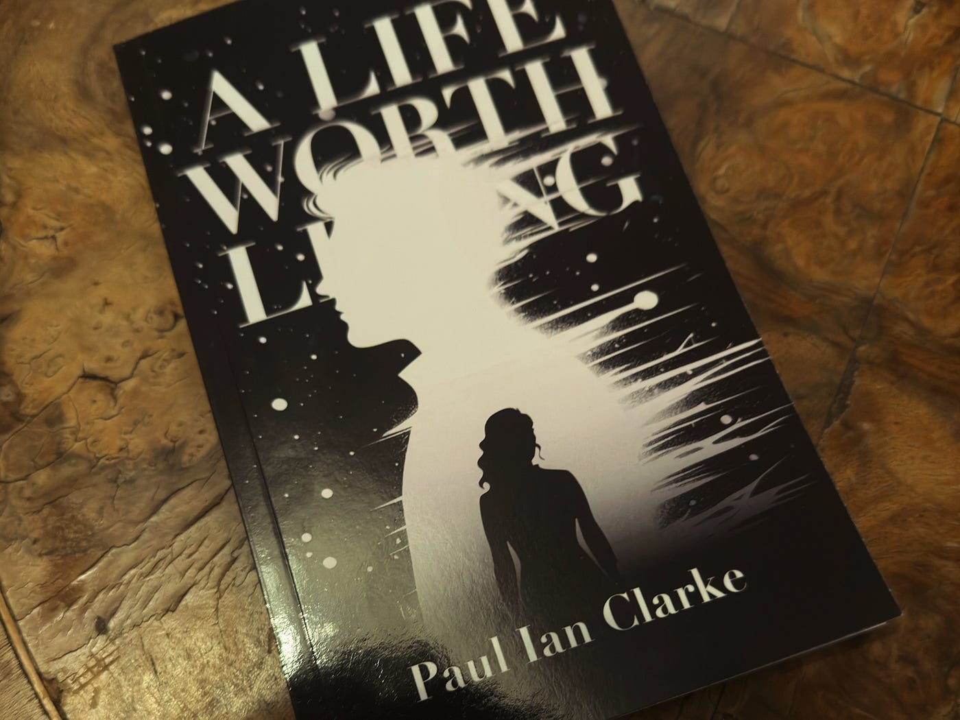 Picture of the authors novel