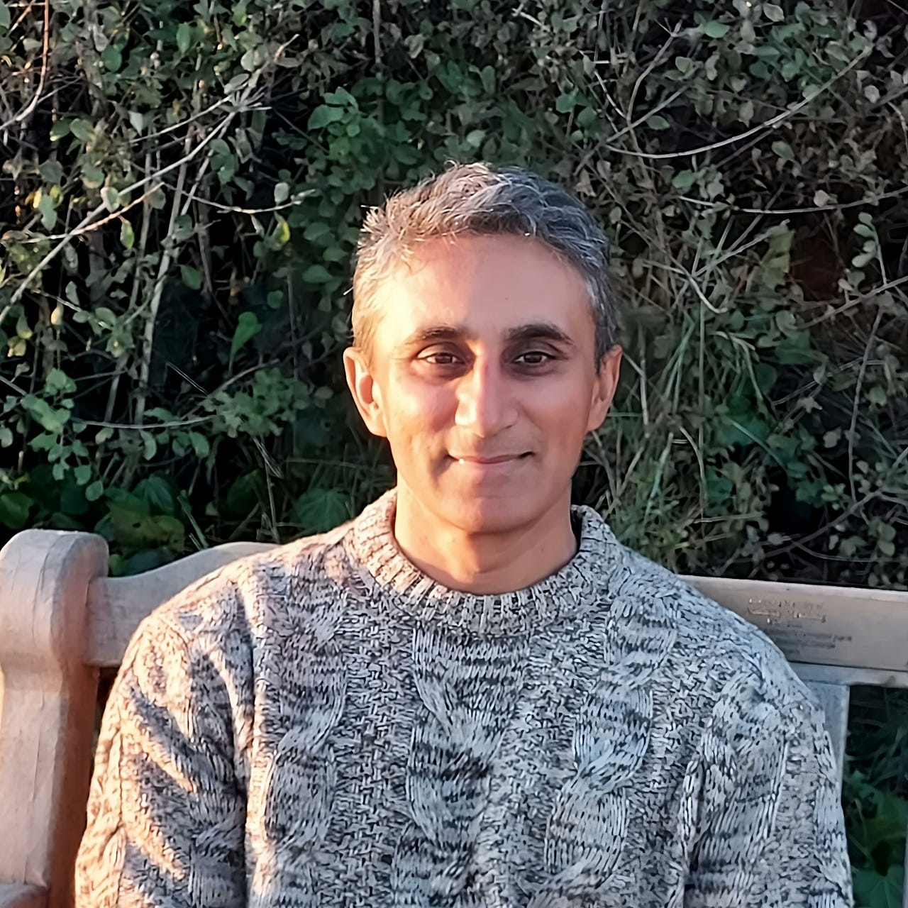 Vaseem Khan's Newsletter logo