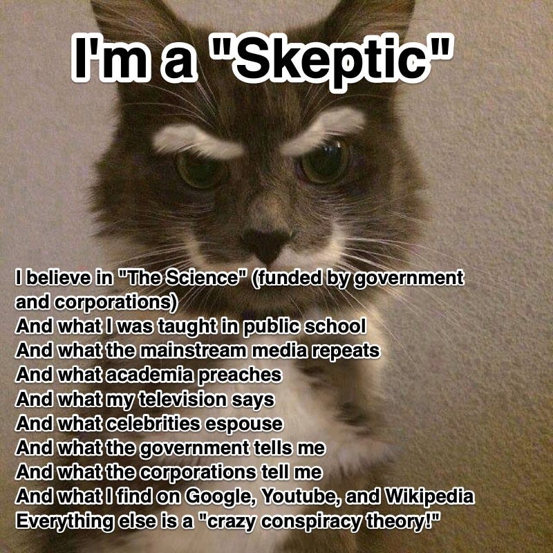 Mister Skepti-Cat
