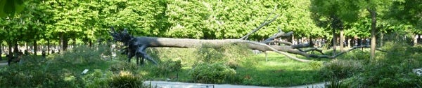 Arbre-de-voyelles.jpg Arbre-de-voyelles.jpg