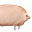 sloptrough's avatar