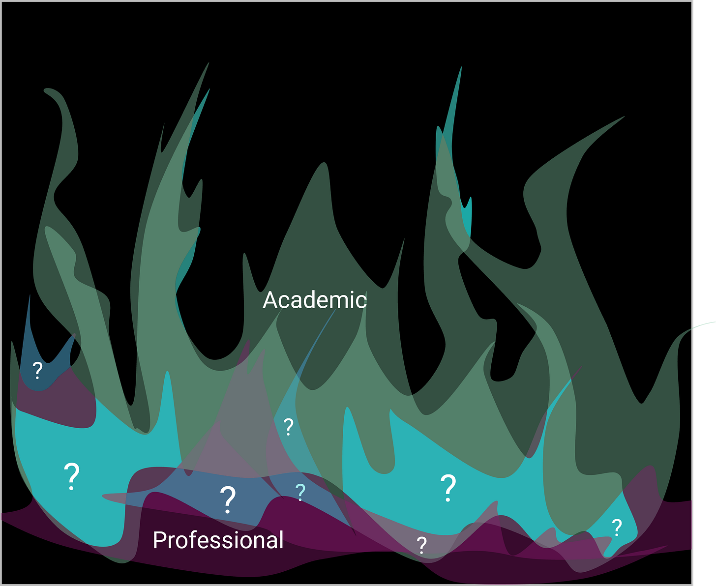 An illustrated fire with flames labelled academic and flames labelled professional. Where they overlap, there are question marks.