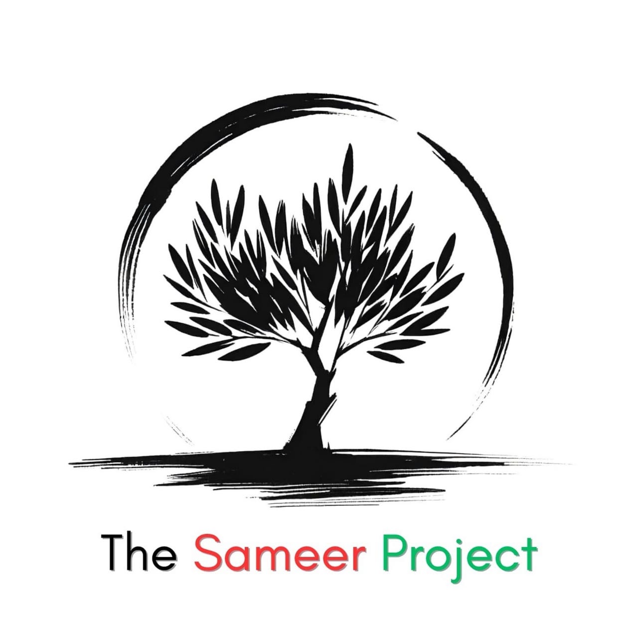 The Sameer Project