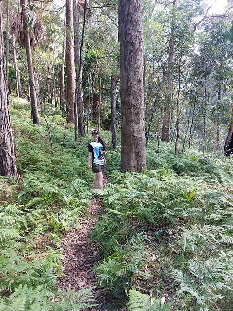 2025 attempt; our photography skills are not getting better