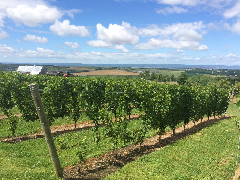 impromptu road trip impromptu road trip