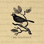 E.G. Bell's avatar