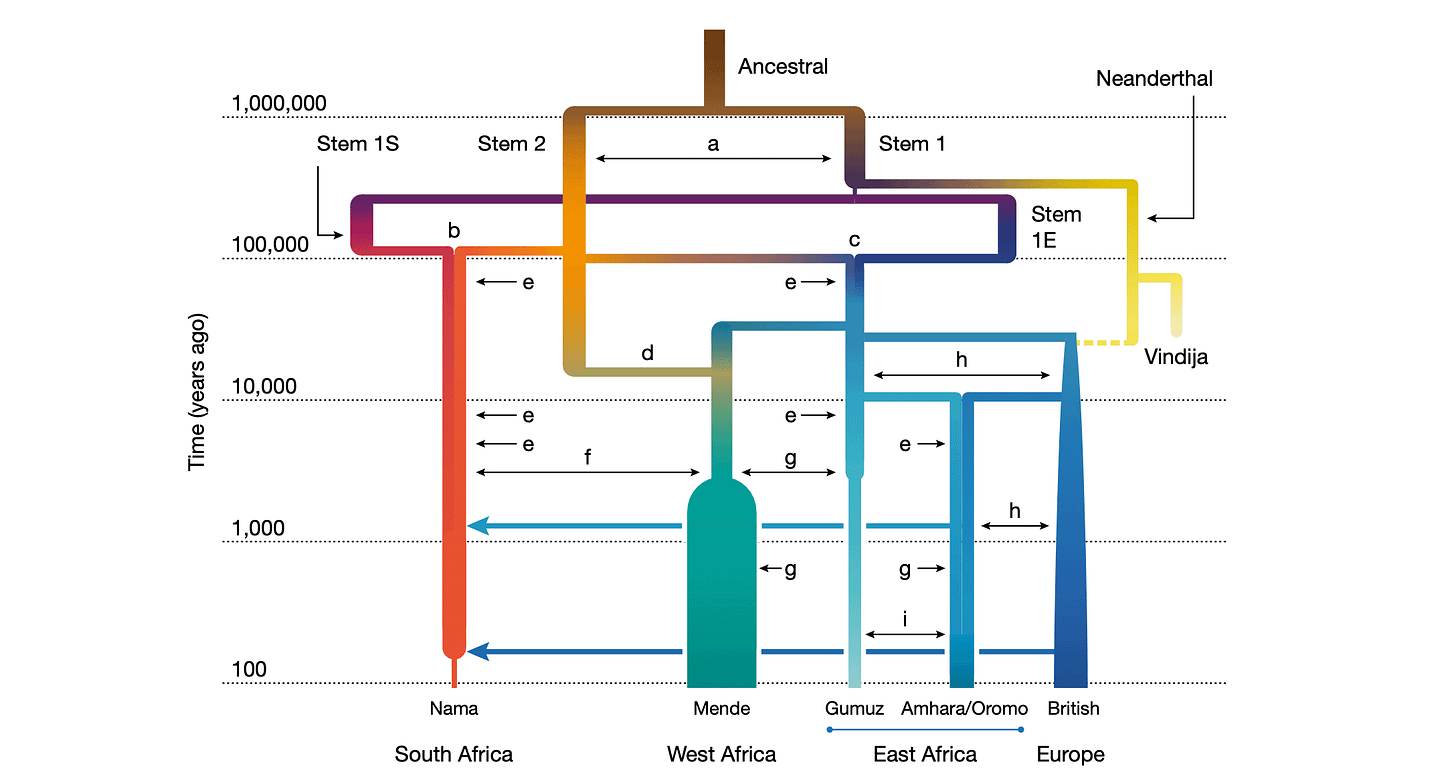 Population model from Ragsdale and coworkers 2023 showing two stems with a complex set of mixture events