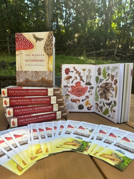 A stack of books on a table
AI-generated content may be incorrect. A stack of books on a table
AI-generated content may be incorrect.