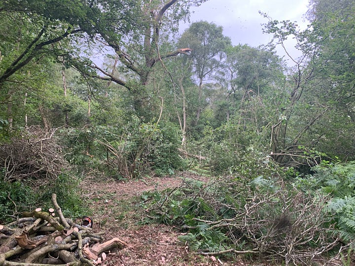 Images taken over a four hour period of crosscutting and ferrying firewood backwards and forwards.