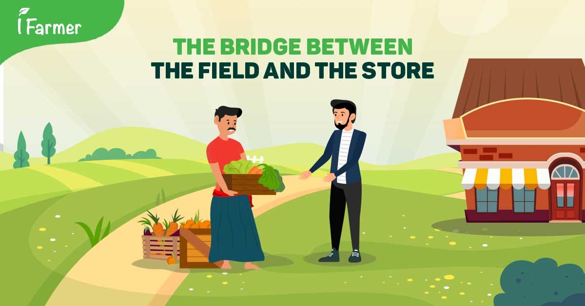 Revolutionizing Bangladeshi Agriculture - iFarmer.Asia