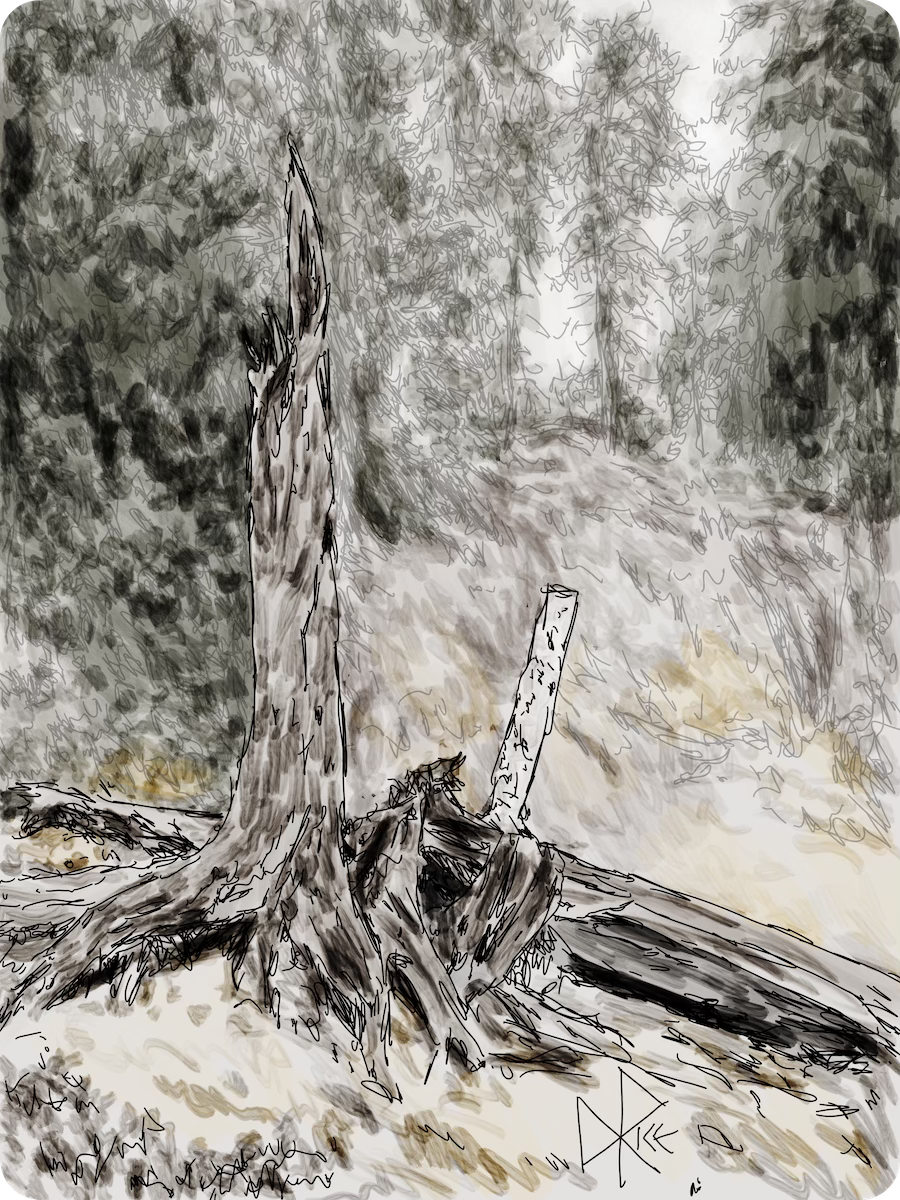 Two partial tree trunks, one a long dead naturally broken pine and the other a human-sawn young birch, near the edge of a clearing in northern Manitoba. Sketch art by Don Rice.