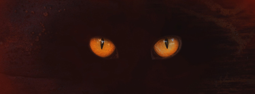 Some ghostly orange animal eyes