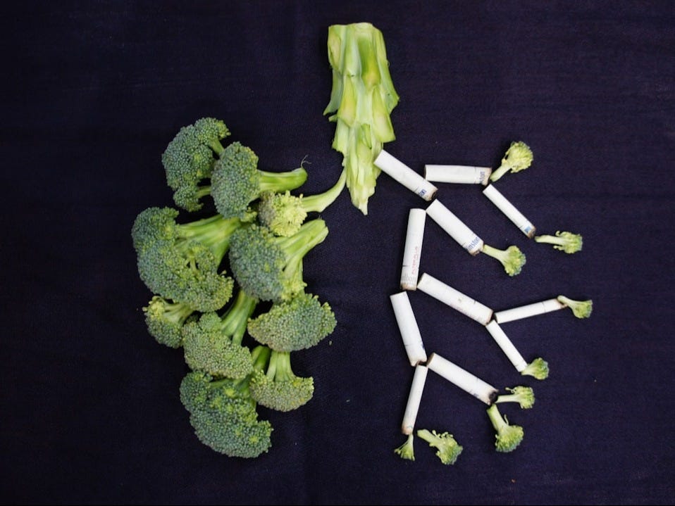 bioAffinity Technologies: Accelerating the Future of Lung Cancer Detection with CyPath® Lung