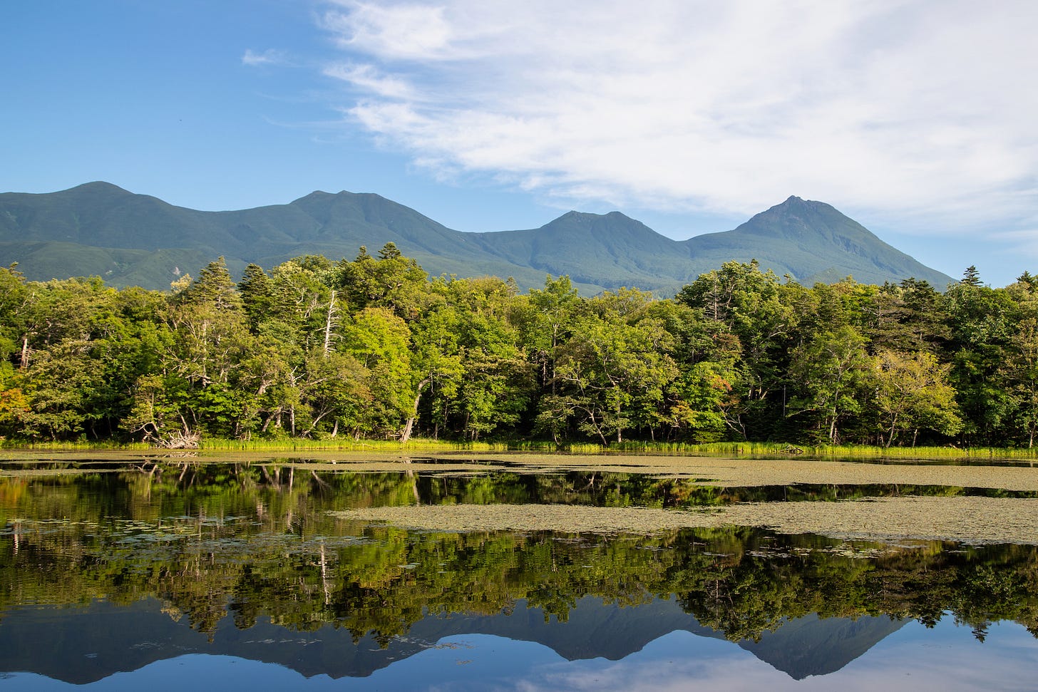 Mountains reflected in a still lake behind a line of forest.