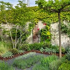 Why this works - another tiny garden design