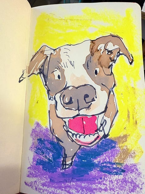 three dogs drawn by three different artists