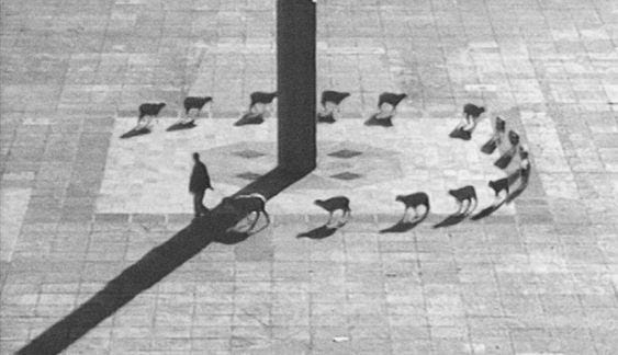 An image added by andy on Jun 20, 2023. May present: black-and-white, font, road surface, beak, bird.