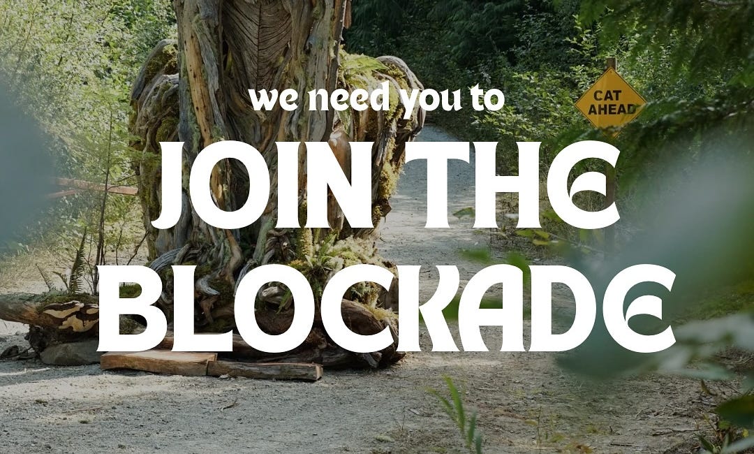 Emergency Post : BC Government and their corporate friends are targeting one of the last ancient rainforest watersheds on Vancouver Island for Clearcutting