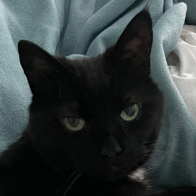 In Interesting Times