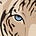 Ree's avatar