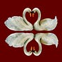 The Swan Letter