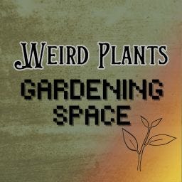 Weird Plants Gardening Space