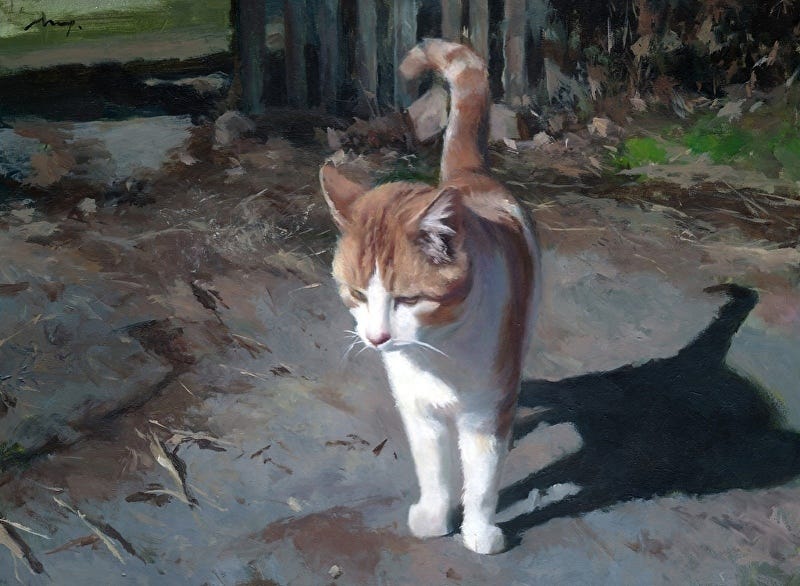 Image 4875588 Image 4875588