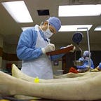 Surviving Healthcare