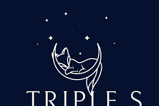 Triple S Special Situations Investing | Substack