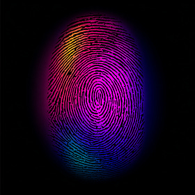 Nothing Happens, Everything Happens