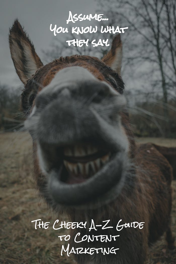 Close up photo of a donkey for Assume: The Cheeky A-Z Guide for Content Marketing Close up photo of a donkey for Assume: The Cheeky A-Z Guide for Content Marketing