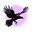 ⛤ 𝐒𝐓𝐀𝐑𝐒𝐇𝐈𝐏 ⭑𓄿⭑'s avatar
