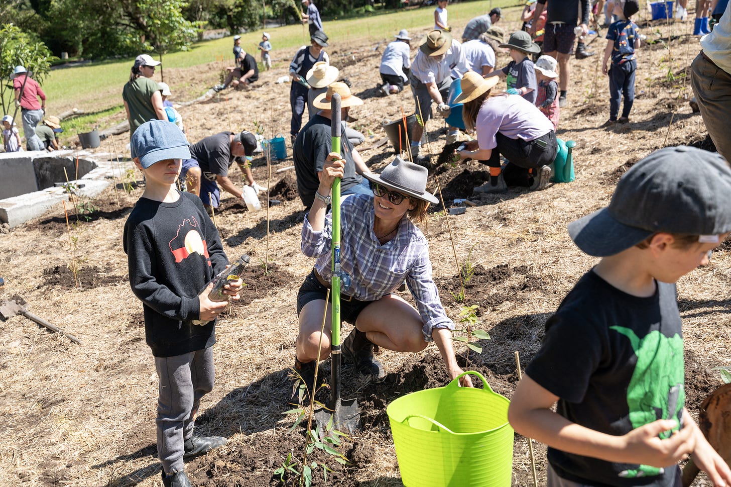 Volunteers planting seedlings at the Urban Hum Community Planting Day