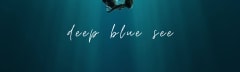 Deep Blue See