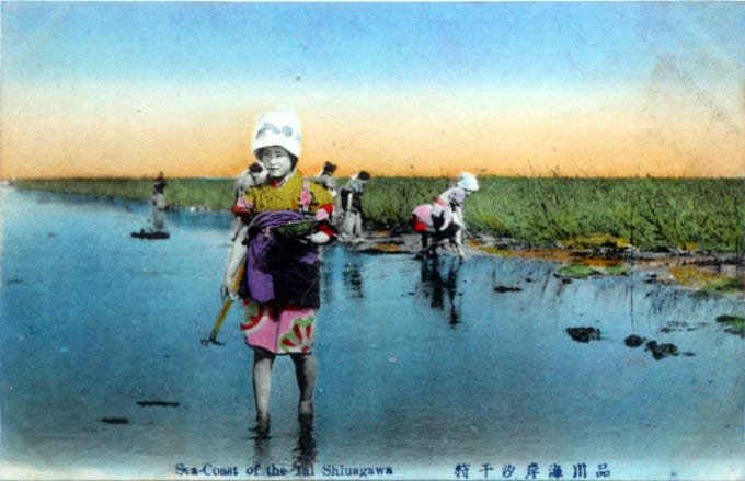 Sea-coast farming, Shinagawa, c. 1910.