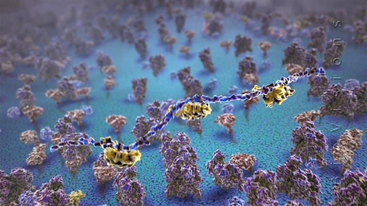 Still images from a molecular animation of the microscopic world of mitochondria.