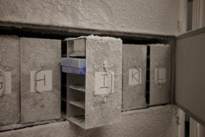 Microbial samples for the Microbiota Vault Initiative are stored temporarily in cryogenic conditions at the Institute of Medical Microbiology at the University of Zurich.