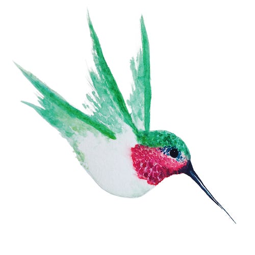 The Joy of Stillness